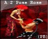 (PB)A 2 Pose Rose