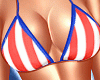 ☯ July 4th Set V4