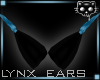 Ears BlackBlue 1a Ⓚ