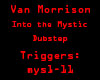 Into The Mystic Dubstep