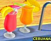Tropical Drinks for 2