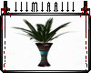 Melina Vase Plant