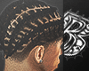 DESIGN BRAIDS