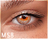 B | Sanbrown SC Eyes F/M
