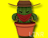 Mexican Cactus Cowboy