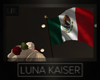 VIVA MEXICO!!