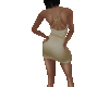 Champayne /Gold Short Dress