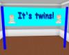 Its Twins! Banner (Boys)