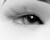 angel eyes