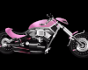 Sexy Pink Rider Bike