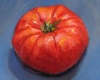 pomodoro