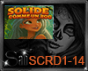*S*SOLIDE COMME UN ROC+D