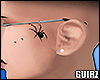 Tattoo Aranha