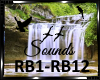 🐦River & Birds Sounds