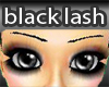 black lash