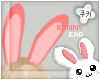 [Co] Bunny l Ear