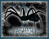 -:| Asher Big Spider |:-