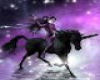 black unicorn rider