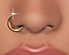 Nose Ring Gold R