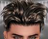 Ceaser Silver Brown Hair