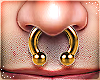 T | Asteri Septum