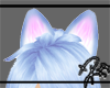 Stellar Blue Neko Ears