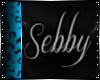 [C] Sebby Custom Shirt