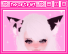 Blk Cat Ears w Bow