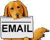 Puppy email