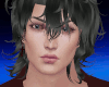 A/ Grey Black Hair