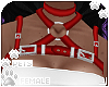 [Pets] Harness | red