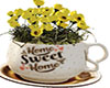 Tea cup planter