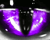Sparking Cat Eyes Purple