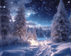 Winter Night