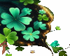 shamrock wings