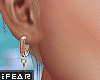 ♛Roza Gold Earrings