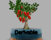Potted Chilli Plant
