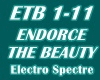 Electro Spectre - 2 Dubs
