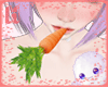 |H| Carrot Bunny