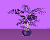 (S)Magic Purple Plant