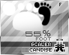 !Mk 55% Foot Scaler