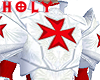 Red Cross Armor Top
