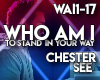 CHESTER SEE - WHO AM I