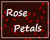 Rose Petals - RED