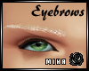 [M] Jaime Eyebrows Blond