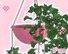 p. hanging plant
