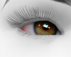 Venjii Realistic Eyes