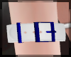 + Arm Belt Sapphire R