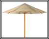 Beach Umbrella