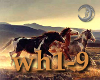 [wh1-9] Wild Horses (1)